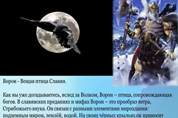 Автор Олег Изборский
К вопросу о плейлисте в You Tube, 
http://www.youtube.com/playlist?list=PL84VRXWCg4r_z1rL4y3BX-7Jj__gDC6je ,
где Олег (Русский парень) дал Ярославу Цеснику прозвище "Ворон".
Плейлист "ВСЕ песни Ярослава Ворона (Цесника)" пользуется успехом и имеет огромное количество просмотров. 
