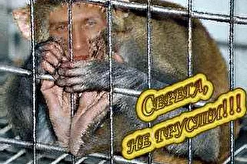 Сергей "ЧЕ..." после загса.