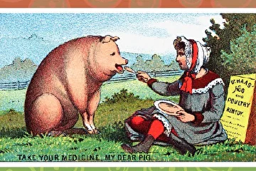 обложка альбома Pig Songs
