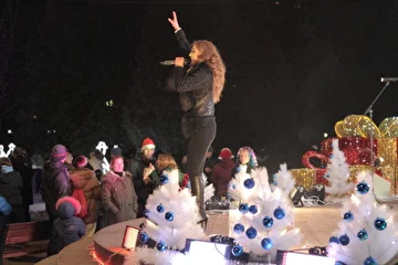 Новый год 2014 Ирина Кольба