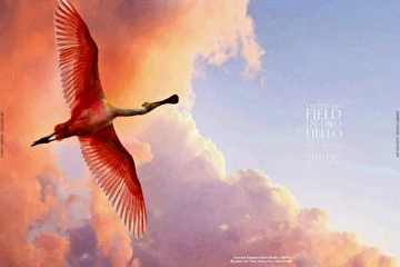Release Information
________________

Andrew Jasinski - Kalmykia Sky 
________

Tracklist
________

|I| Kalmykia Sky |3:16|
|II| Field |3:19|
|III| En-dro |2:40|
|IV| Hello |3:30|
|V| Full Moon |2:52|
|VI| Whisper Of Falling Stars |2:25|
|VII| Autumn |4:30|
|VIII| Piano Andro |2:47|
|IX| Hello |Vinyl Version| |3:30|
________

Total Time |28:53|
________

Catalog Number |ENDQUE025|
________

Release Date - May |4.2014|
________________

About Andrew Jasinski - Kalmykia Sky 
________

What is The Music? It is infinite, deep and unceasing rhythm of his heart for the one, for another man it is coolness of the lea... And rivers, and lakes tightened with milky veil... Someone can hear only monotonous sound of iron wheels, but another one will hear many entrancing sounds... From the profound of foreign souls...

Andrey Yasinskiy is one of the few, whose creations begin live inside every of us, just enter his World, reconstituted by his melodies. And Andrey’s new album 'Kalmykia Sky' is great verification of this! The Music is live inside us.
________________

Contact Information
________

| http://andrewjasinski.com/ |
| www.vk.com/andrew_jasinski |
| www.twitter.com/andreyyasinsky |
| www.instagram.com/andrew_jasinski |
| https://plus.google.com/109382117457458655468/about |
| www.youtube.com/channel/UClDoNm-ByyPkgn6rTCORxjQ |
| www.soundcloud.com/andrewjasinski |
| www.lastfm.ru/user/andrewjasinski |
| www.andrewjasinski.bandcamp.com/ |
________________

Buy Now!
________

| www.endlessquest.bandcamp.com/album/kalmykia-sky |
________________

More Info
________

Written By Andrew Jasinski 
________

Produced By |SHF|
________

Sound Produced By Ilya Fursov
________

Interpreted By Sergey Grishakov
________

Cover Design Edited By |SHF|
Based On The Original Artwork
________

Sources

| www.wpapers.ru |
| www.ewallpics.com |
________________

Contact Us

| www.endque.com |
| endless.shf.quest@gmail.com |