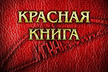 обложка CD