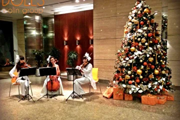 Струнное трио Violin Group DOLLS - живая музыка на Новый год