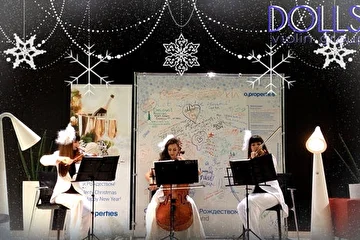 Струнное трио Violin Group DOLLS - живая музыка на Рождество