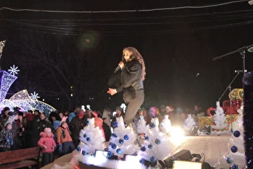Новый год 2014 Ирина Кольба