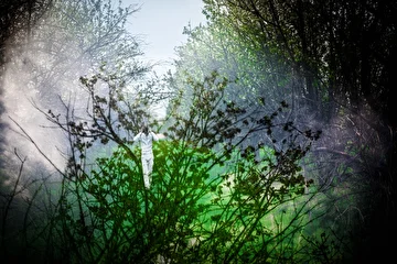 фотограф: галина писарева