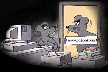Фото с фестиваля появятся "как только, так сразу".
Загляните через какое-то количество дней.
