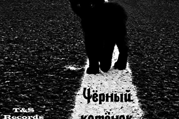 Чёрный котёнок (single)