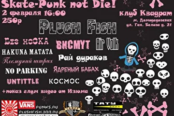 SKATE PUNK NOT DIE