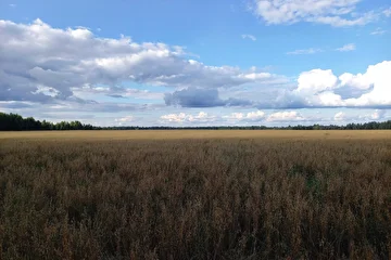 Дер. Бельское. Тверская обл.