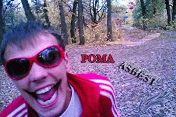 РОМА В КУРАЖЕ И ЕЩЁ В ЛЕСУ