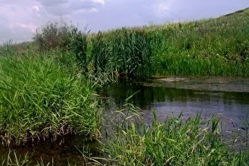 Речушка не широкая  (5м)  в1223 г. ширина ее составляла 100-120 шагов (из летописи)