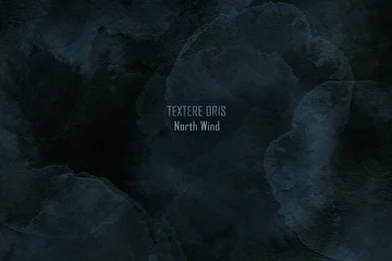ARTIST: Textere Oris
ALBUM: North Wind
EDITION: Expanded
RELEASE DATE: September |25.2020| 
CATALOG: ENDQUE091
GENRE: #Ambient #DarkAmbient #Drone #Experimental

ABOUT 'NORTH WIND' 

North Wind - это тематический сборник от нашего лейбла, в который вошли ранее изданные работы Textere Oris.

TRACKLIST 

Textere Oris & Qeight - Peaceyes
Textere Oris - Berth (ft. Montren)
Textere Oris - Exodus (ft. Montren)
Textere Oris - On The SP47
Textere Oris - Coldly (ft. Aygel Gaysinа)
Textere Oris - S.O.S
Textere Oris - Dethi (ft. Qeight)
Textere Oris - Pokamnyam (ft. Qeight)
Textere Oris - Final (ft. Montren)

AVAILABLE ON 

Beatport, iTunes, Juno, Spotify, Traxsource, Google Play, Deezer, Tidal, Soundcloud, Pandora, Tencent, Bandcamp, Jamendo, Pond5, Shazam, YouTube, MixCloud, Saavn, Alibaba, NetEase, Anghami, Tik Tok, Boom, Yandex & VK 

REVIEW 'NORTH WIND' 

www.endlessquest.bandcamp.com/album/north-wind

MORE INFO 

Music by Textere Oris, Qeight & Montren
Narration by Aygel Gaysinа
Production by EQM 

Copyright © 2012-2020 EQM
