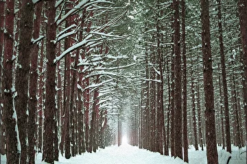 ARTIST: Lantinor
ALBUM: Through December Jungle's Door
EDITION: Simple
RELEASE DATE: March |9.2019| 
CATALOG NUMBER: ENDQUE111
LOCATION: Russia 
GENRE: #Acoustics #Vocal #PostRock #Live #World

ABOUT 'THROUGH DECEMBER JUNGLE'S DOOR' 

Through December Jungle's Door - первый и, на что мы и надеемся, не последний релиз от имени нашего лейбла в новом для нас формате.
Пусть эта удивительная сказка от Lantinor, в которую нас погрузили авторы этой работы, будет завершающим глотком свежего, морозного воздуха на ваших устах и реверансом в ваших сердцах.

TRACKLIST

Prologue |My Vacation Begins|
Snow Night Tale
The Winter at July's Night
On the Miracles Eve
Falling Castle
One of Those Days
The Romantic
Another November's Evening
The Morning Tower Banner
On the Ruins of the Old Epoch
The Rider Between the Heaven and the Land
Winter Forest Animals

AVAILABLE ON 

Beatport, iTunes, Juno, Spotify, Traxsource, Google Play, Deezer, Tidal, Soundcloud, Pandora, Tencent, Bandcamp, Jamendo, Pond5 & Shazam 

REVIEW 'THROUGH DECEMBER JUNGLE'S DOOR'

www.endlessquest.bandcamp.com/album/through-december-jungles-door

MORE INFO 

Music by Lantinor
Group Members by Alexander Kaminsky, Alina Bulat, Fedor Golev & Gennady Samarov
Production by Endless Quest Media

Copyright © 2012-2019 Endless Quest Media
