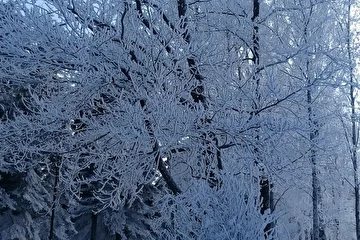 В Петербург пришла весна...