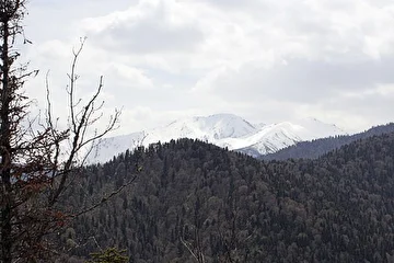 Гузерипль, Адыгея