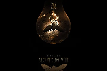 ARTIST: Qeight
ALBUM: Secundum Vita
EDITION: Simple
RELEASE DATE: August |18.2020| 
CATALOG: ENDQUE087
GENRE: #Ambient #DarkAmbient #Ritual #Dron #Orchestral

ABOUT 'SECUNDUM VITA' 

Secundum Vita - новый, полноформатный альбом Qeight.

Избушка без окон и дверей. Запах плесени и вкус свинца на онемевших зубах. Я застрял в полумраке окруживших меня событий. 
Ты помнишь, как изгоняя меня из снов своих, ты закрывала двери молитвами? Скрывалась за полками книг, в тени наших с тобой воспоминаний. 
Возвращаясь по дороге домой, я разделял твои и мои горизонты на тысячи, сотни тысяч крупиц, чтобы потом, ближе к ночи, собирать их с тобой в мозаику. Я знаю, ты не любишь рассвет, он предвещает лишь одно; прошлый день уже никогда не вернётся вереницей капель на запотевшие от нашего дыхания окна. Потерянное время вчера уже никогда не вернёшь сегодня. 
Каждый день я мысленно возвращаюсь к тем ветреным, безлюдным берегам. Хруст конфет из листвы под босыми ногами. Блики остывающего дня сквозь дикие и такие ревнивые ивы. Скрип половиц за порогом. Эхо твоего и моего прошлого оглушает меня и веером безудержных чувств я растворяюсь на последней странице твоего дневника. 
Послушай. Видимо, я расстался навсегда с оглушающими меня мыслями вернуть всё на свои места. Ты вспомни, как долгими вечерами ты очаровывалась и утопала вновь и вновь в каждом из них. Бесконечные закаты и рассветы всех моих рассказов. Сколько их было? Ты помнишь? 
Обернись. Видишь мой силуэт? Отпусти. И больше никогда не возвращайся. Я отдал тебе всё что смог. Отдай и ты мне мою свободу. Возвращайся домой, раздели твои и мои горизонты на тысячи и даже сотни тысяч крупиц, чтобы потом, ближе к ночи, собирать их одной на пожелтевших страницах своих дневников.

TRACKLIST

Exsilium
Cunabula
Navis
Inversion
Evolution
Nativitate
Secundum Vita
Asylum
Exodus

AVAILABLE ON 

Beatport, iTunes, Juno, Spotify, Traxsource, Google Play, Deezer, Tidal, Soundcloud, Pandora, Tencent, Bandcamp, Jamendo, Pond5, Shazam, YouTube, MixCloud, Saavn, Alibaba, NetEase, Anghami, Tik Tok, Boom, Yandex & VK

REVIEW 'SECUNDUM VITA' 

www.endlessquest.bandcamp.com/album/secundum-vita

MORE INFO 

Music by Qeight
Mastering by EQM & Sergey Sever
Production by EQM

Copyright © 2012-2020 EQM