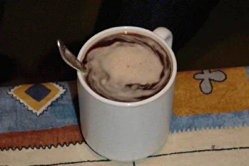матрини + сок вишнёвый + кофе + чай + водка + пиво + кислое молоко + соль + сахар + рассол мариновочный от огурцов + таблетки  от кашля + перец красный + карри + соевый соус