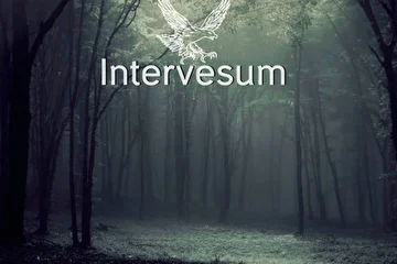 Интернет сингл "Distimity" Intervesum 2015 год.