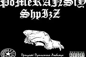 Шпиц