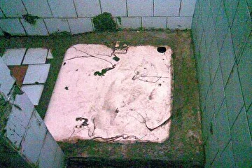 Пол в душе. Вставать ногами не очень хочется, остатки грязи и мокрой пакли вызывают тошнотворный рефлекс.