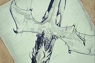 suraty çeken arzuw jumanazarow.Drakon.дракон