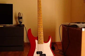 Peavey Fury.I have this great bass for over than 15 years.
what can I say?it's really fantastic sounding bass!
amazing value for money.