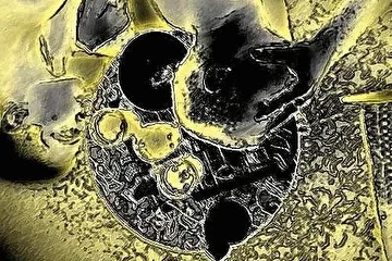 ...словно бумага в ГосАрхивеХабаровскогокрая, наша братия принимает жёлтый оттенок...