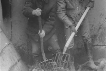 Осенние работы в колхозе. Студенты-шестикурсники работники Бункера Андрей Евсеев (справа), Сергей Алёхин (слева) обеспечивают процесс сортировки картофеля.
Смоленская область, 1986 год.