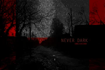 Never Dark YT