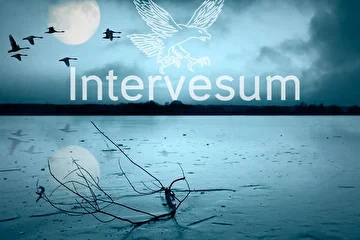 Интернет сингл "Aftermath" Intervesum 2015 год.