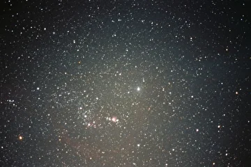 Orion 89