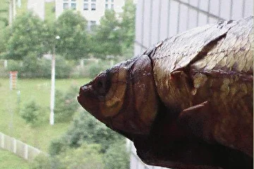 Она дала много вдохновения... и была съедена.