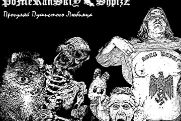 Шпиц2