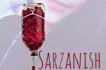 Mc Slim- Sarzanish new Music 2020 Hit version. 