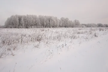 Природа.Маркелово.Зима 2017г.