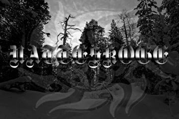 NATTESKOGE wallpaper