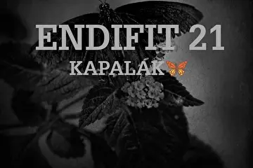 ENDIFIT21