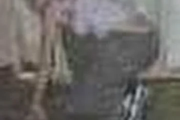 ЭТО АЛЁНА!