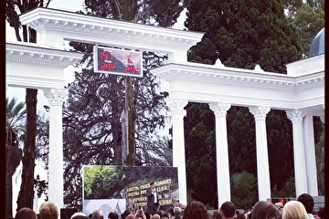 Дмитрий Пипия _dp_