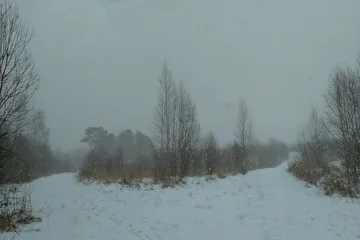 Снегопад