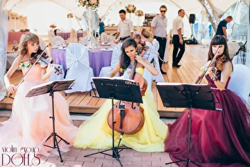 Струнное трио Violin Group DOLLS - живая музыка на встречу гостей