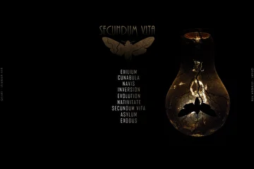 ARTIST: Qeight
ALBUM: Secundum Vita
EDITION: Simple
RELEASE DATE: August |18.2020| 
CATALOG: ENDQUE087
GENRE: #Ambient #DarkAmbient #Ritual #Dron #Orchestral

ABOUT 'SECUNDUM VITA' 

Secundum Vita - новый, полноформатный альбом Qeight.

Избушка без окон и дверей. Запах плесени и вкус свинца на онемевших зубах. Я застрял в полумраке окруживших меня событий. 
Ты помнишь, как изгоняя меня из снов своих, ты закрывала двери молитвами? Скрывалась за полками книг, в тени наших с тобой воспоминаний. 
Возвращаясь по дороге домой, я разделял твои и мои горизонты на тысячи, сотни тысяч крупиц, чтобы потом, ближе к ночи, собирать их с тобой в мозаику. Я знаю, ты не любишь рассвет, он предвещает лишь одно; прошлый день уже никогда не вернётся вереницей капель на запотевшие от нашего дыхания окна. Потерянное время вчера уже никогда не вернёшь сегодня. 
Каждый день я мысленно возвращаюсь к тем ветреным, безлюдным берегам. Хруст конфет из листвы под босыми ногами. Блики остывающего дня сквозь дикие и такие ревнивые ивы. Скрип половиц за порогом. Эхо твоего и моего прошлого оглушает меня и веером безудержных чувств я растворяюсь на последней странице твоего дневника. 
Послушай. Видимо, я расстался навсегда с оглушающими меня мыслями вернуть всё на свои места. Ты вспомни, как долгими вечерами ты очаровывалась и утопала вновь и вновь в каждом из них. Бесконечные закаты и рассветы всех моих рассказов. Сколько их было? Ты помнишь? 
Обернись. Видишь мой силуэт? Отпусти. И больше никогда не возвращайся. Я отдал тебе всё что смог. Отдай и ты мне мою свободу. Возвращайся домой, раздели твои и мои горизонты на тысячи и даже сотни тысяч крупиц, чтобы потом, ближе к ночи, собирать их одной на пожелтевших страницах своих дневников.

TRACKLIST

Exsilium
Cunabula
Navis
Inversion
Evolution
Nativitate
Secundum Vita
Asylum
Exodus

AVAILABLE ON 

Beatport, iTunes, Juno, Spotify, Traxsource, Google Play, Deezer, Tidal, Soundcloud, Pandora, Tencent, Bandcamp, Jamendo, Pond5, Shazam, YouTube, MixCloud, Saavn, Alibaba, NetEase, Anghami, Tik Tok, Boom, Yandex & VK

REVIEW 'SECUNDUM VITA' 

www.endlessquest.bandcamp.com/album/secundum-vita

MORE INFO 

Music by Qeight
Mastering by EQM & Sergey Sever
Production by EQM

Copyright © 2012-2020 EQM