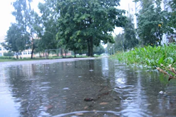 Дождь.