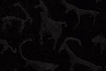 Кумбельские петроглифы