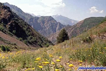 урочище Чавата