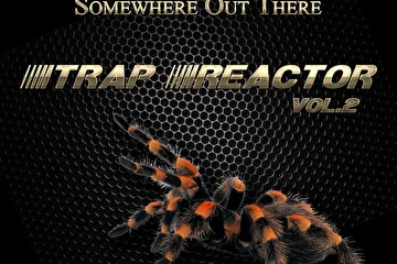 VA - Trap Reactor, Vol. 2 - Compilation

Artist: Fusion Bass
Release date: 2015-03-31
Genre: Hip-Hop
Labels: Somewhere Out There
Catalog: SOMETHE075


iTunes:
https://itunes.apple.com/us/album/starlight/980728303?i=980728538

Beatport:
https://pro.beatport.com/release/trap-reactor-vol-2/1502392

Juno:
http://www.junodownload.com/products/trap-reactor-vol-2/2754316-02/


Other info:
Tittle: Starlight (Original Mix)
Number: 06
Genre: ChillTrap
BPM: 160
Key: G maj
Leight: 3:43