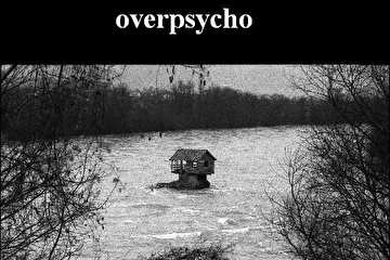 ZARTIPO overpsycho