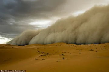 E.NOT – Sandstorm(Fragment)