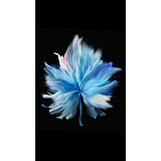 papiruss